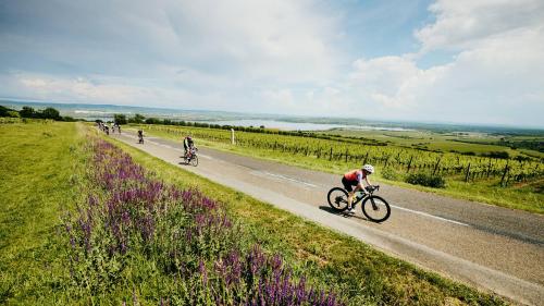 Závody Road Classics i s novou týmovou soutěží startují již za týden na Pálavě! 